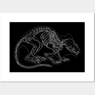 Rat Skeleton Posters and Art